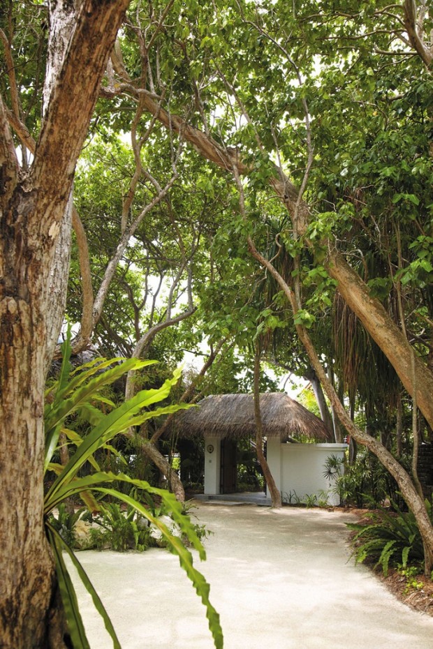 Villingili-Resort-ArchitectureArtDesigns-19-620x930 5 Star Shangri-La's Villingili Resort and Spa