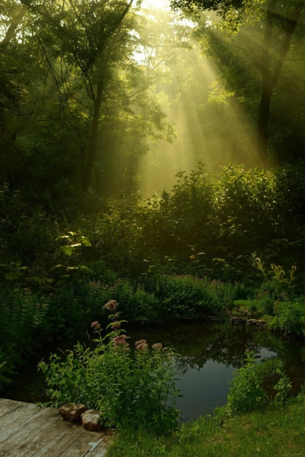 nature3-620x929 30 Most Exquisite Pictures of Nature