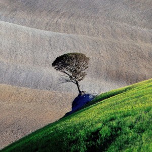 Sony World Photography Awards 2020 : inscriptions ouvertes et nouveautés