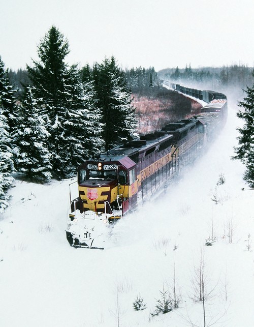 17 Top Winter Wonderland Photos