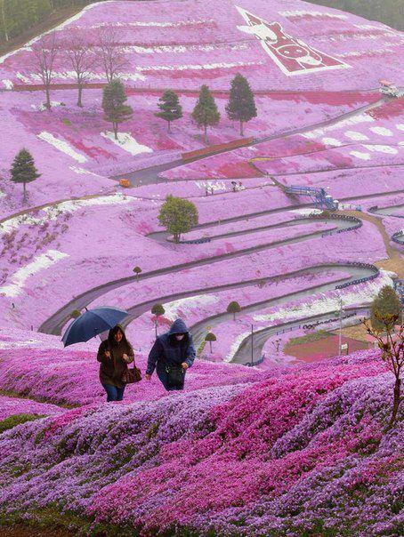 11 Bewitching Pictures From Most Amazing Places In Our World