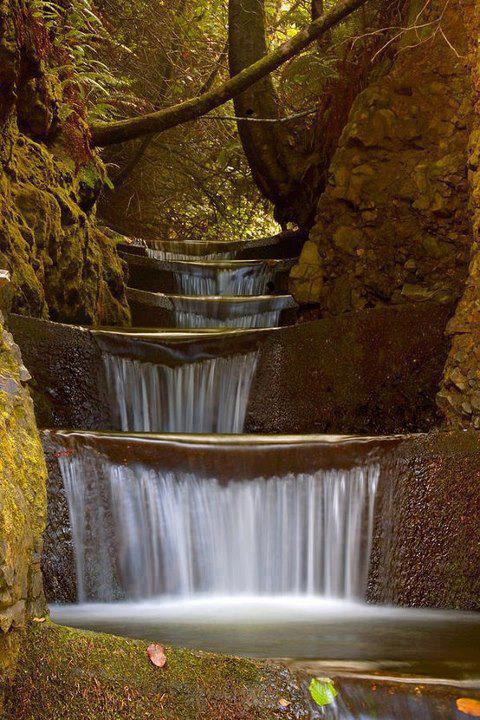 Oregon-Endless-Waterfall-Cummins-Creek-Wilderness Top 15 Pictures of Stunning Places
