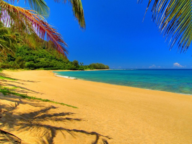 18 Resplendent Beaches to Visit in Your Lifetime