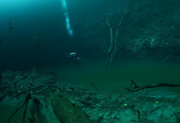 underground-river-9-620x426 16 Mindblowing Pictures of the Underground River in Mexico
