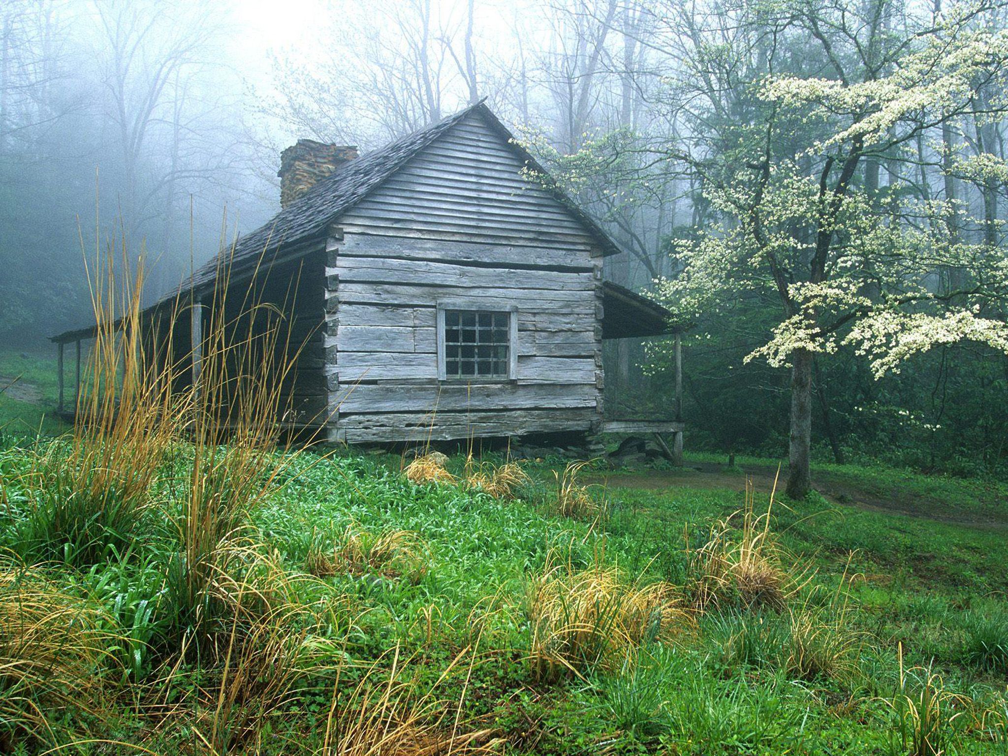 Старый домик стоял на самом. Домик лесника заброшенный. «Домик в глуши». Домик в лесу. Старый дом в лесу.
