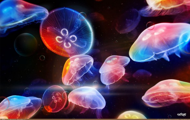 underwater-1-620x391 17 Breathtaking and Colorful Photos of What is Hidden Underwater