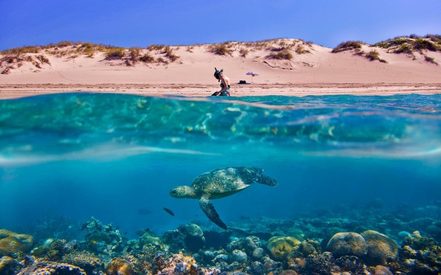 underwater-11-620x387 17 Breathtaking and Colorful Photos of What is Hidden Underwater