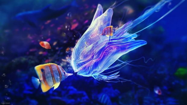 underwater-5-620x348 17 Breathtaking and Colorful Photos of What is Hidden Underwater