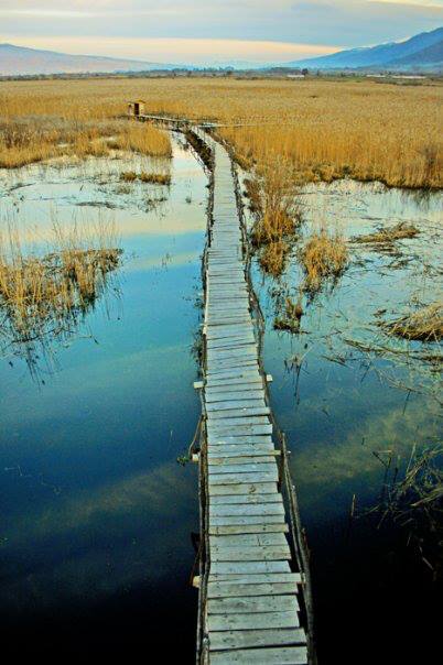 Моноспитовското-блато-с.-Моноспитово1 15 Most Amazing And Beautiful Places In The World That You Must See