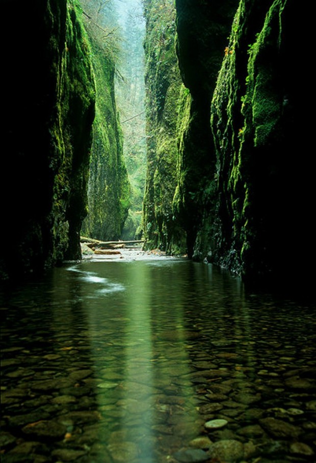Oneonta-Canyon-Oregón1-620x909 60 Engaging Photos of Charming Nature That Will Take You Into Fairytale (part 2)