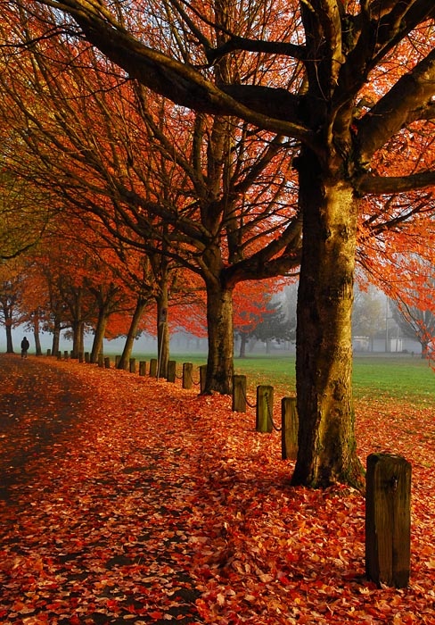 18 Fascinating Photos of Places in the Amazing Autumn