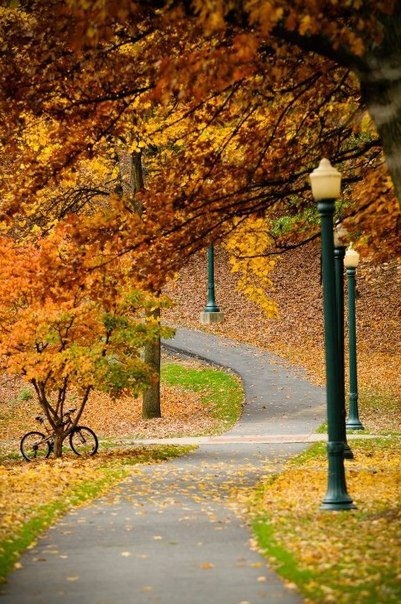 14 Photos of "I walked on Paths of Crisp Autumn leaves"