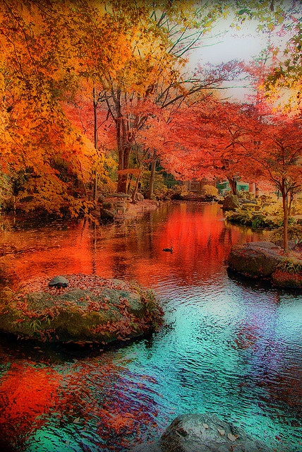 13 Inspirational Autumn Pictures