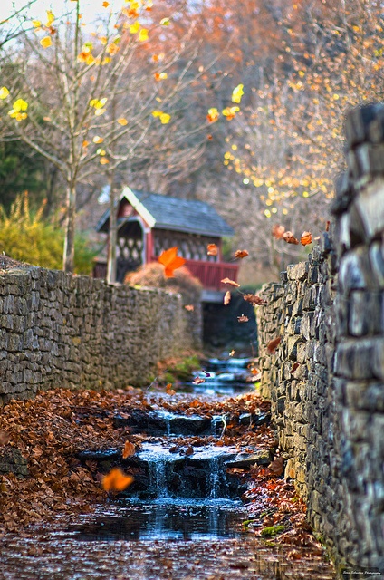 Autumn-Waterfall-Loretto-Kentucky-photo 14 Photos of "I walked on Paths of Crisp Autumn leaves"