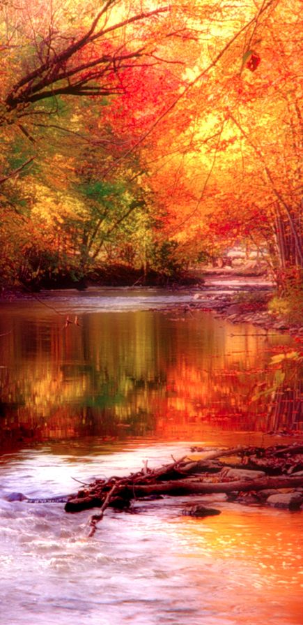 13 Inspirational Autumn Pictures