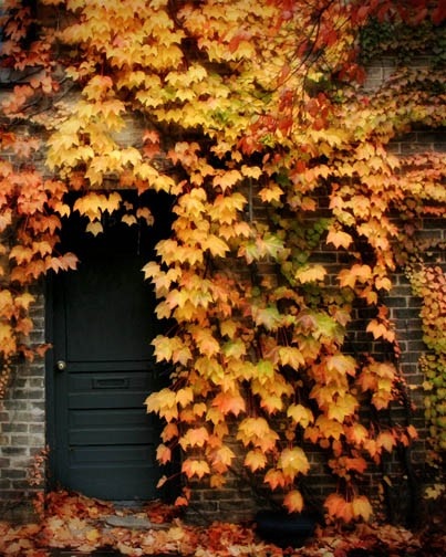 Charming-autumn 13 Inspirational Autumn Pictures