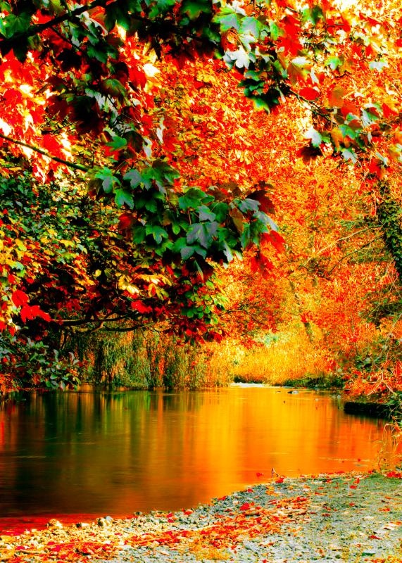 99 Amazing Pictures of Autumn Idyll - Part 1