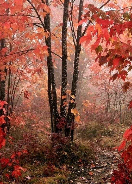 13 Inspirational Autumn Pictures