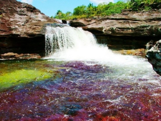 Caño Cristales - 19 Photos of the Beautiful River "Flowing in the Heaven"