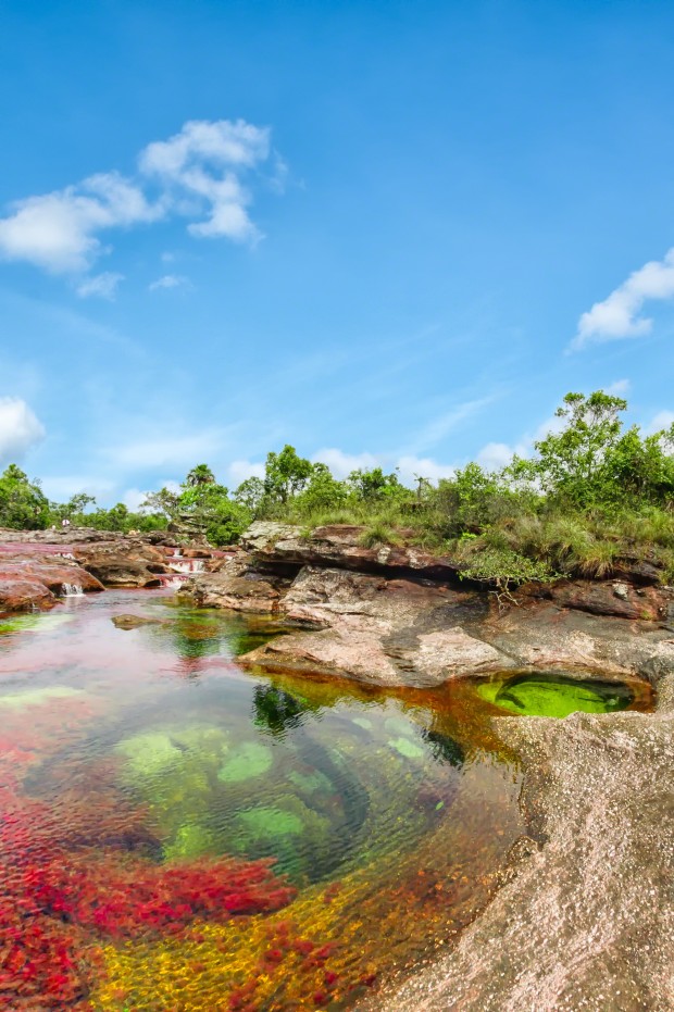 Caño Cristales - 19 Photos of the Beautiful River "Flowing in the Heaven"