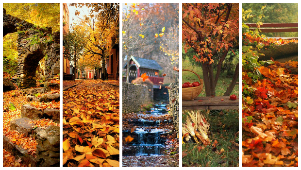 14 Photos of “I walked on Paths of Crisp Autumn leaves”