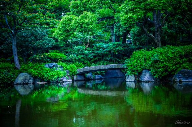Tokyo-Japan-620x413 7 Exclusive Gardens from Japan