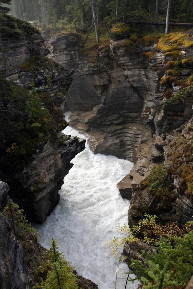 Athabasca-Falls-Jasper-National-Park-Canada-620x929 Connect With Nature in Jasper National Park