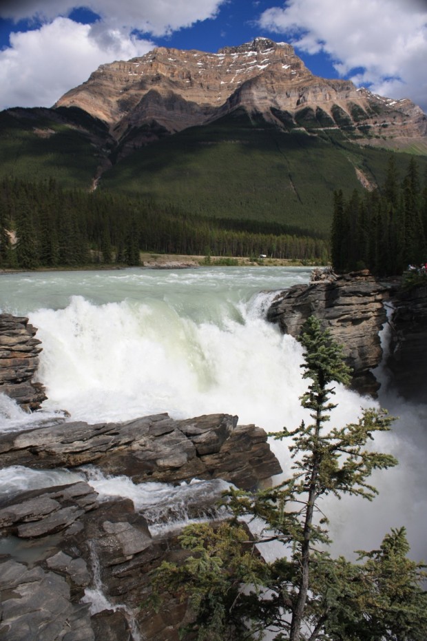 Connect With Nature in Jasper National Park