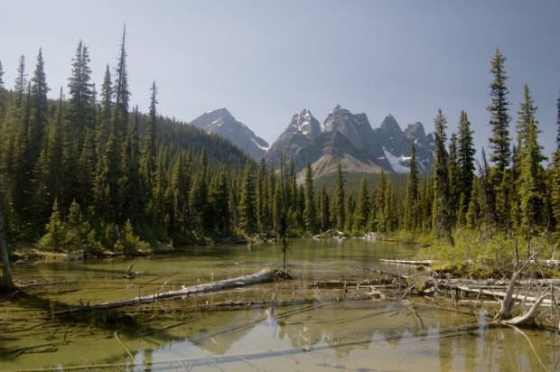 The-Ramparts-Jasper-National-Park-Canada-620x412 Connect With Nature in Jasper National Park