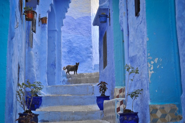 Chefchaouen-5-620x413 Chefchaouen - Blue city in Morocco