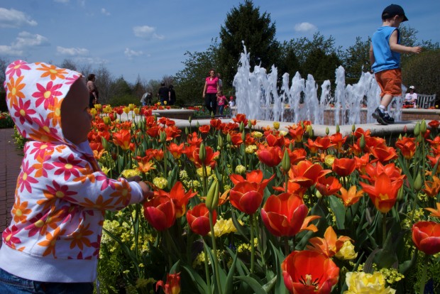 Chicago-Botanic-Garden-Illinois-620x414 10 Inspirational Botanic Gardens