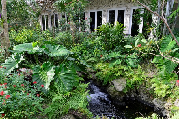 10 Inspirational Botanic Gardens