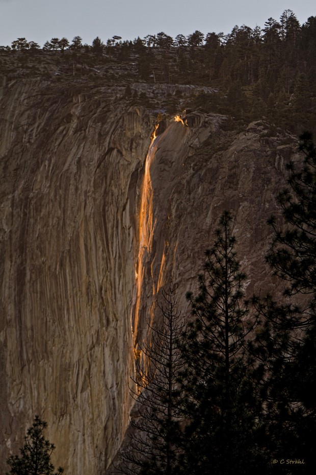 Horse Tail -  The Golden Waterfall