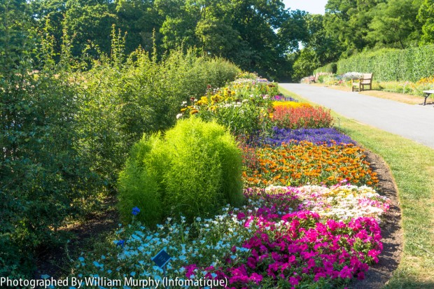 10 Inspirational Botanic Gardens