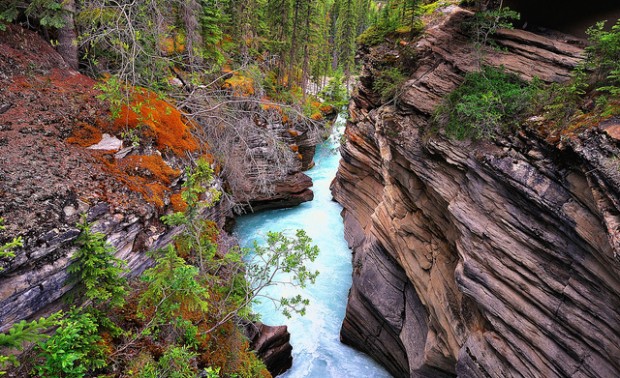 Explore Athabasca, The World's Unusual Waterfall