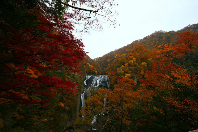 Fukuroda Falls – The Most Beautiful Falls in Japan