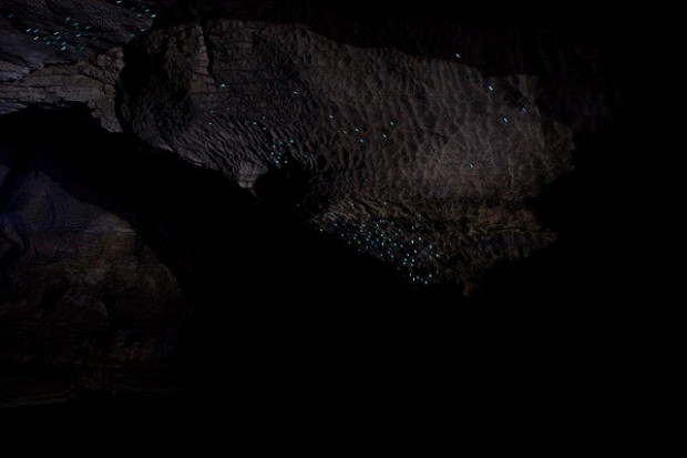 Waitomo Glowworm - Fairly tale cave