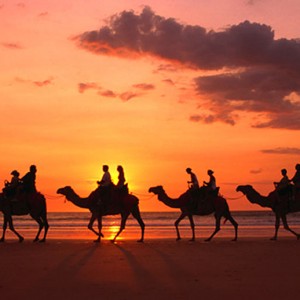 Camel Safari at Riviera Sharm village,