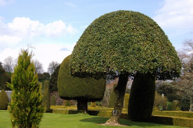 Feel the Magic of Drummond Castle Gardens in Scotland