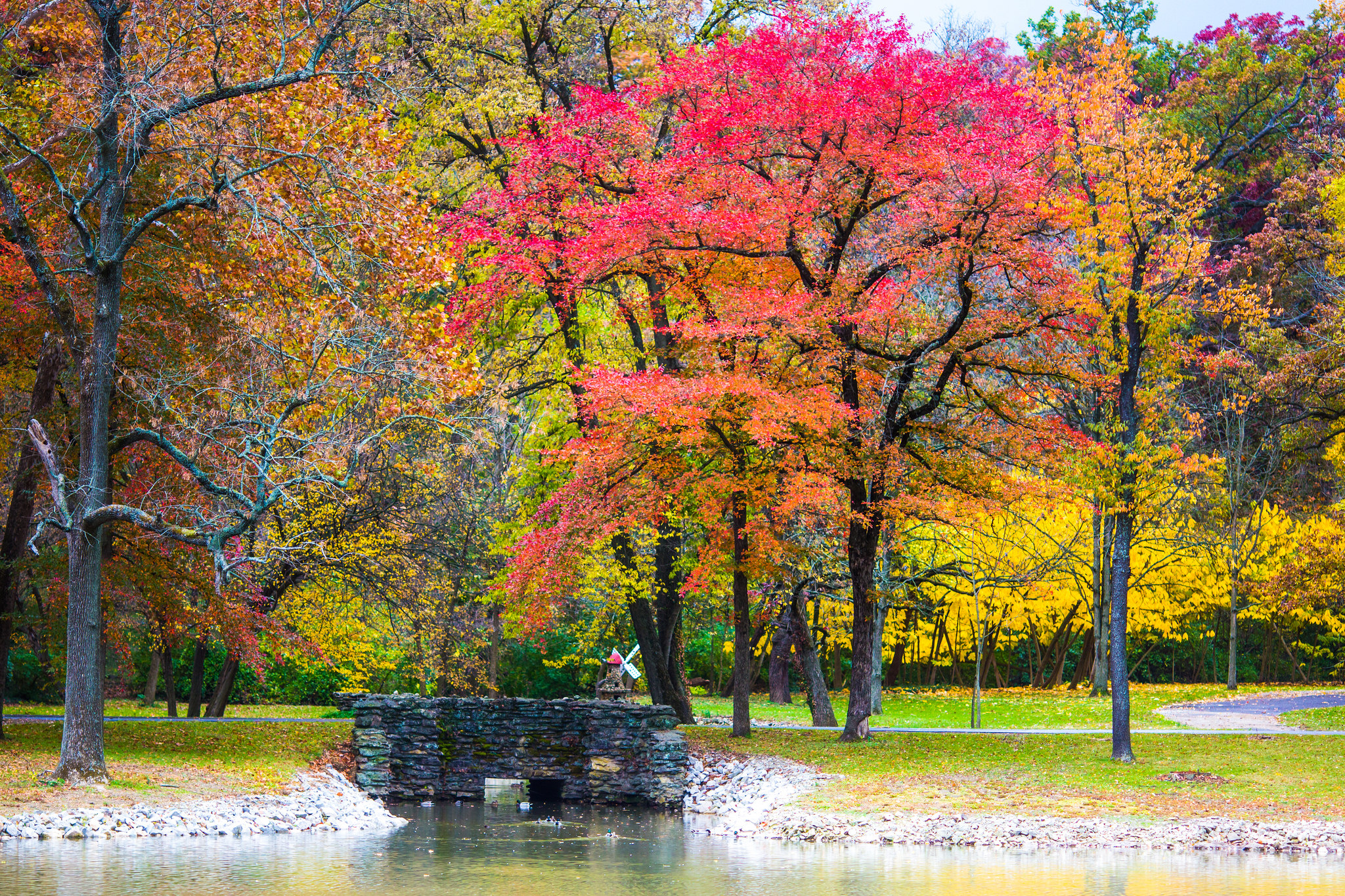 10 US Locations for a Fall Foliage Trip