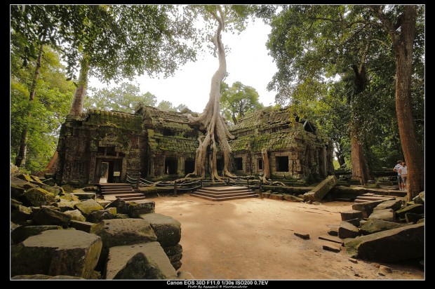 Get a Walk Through Ta Prohm Temple, Cambodia