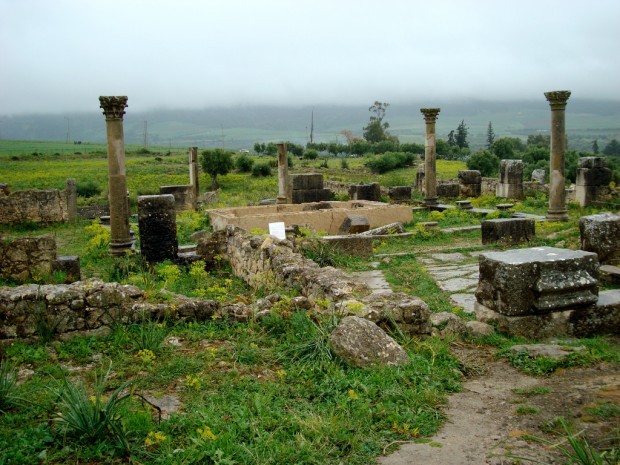 Peek into History Through the Ancient Ruins of Volubilis, Morocco
