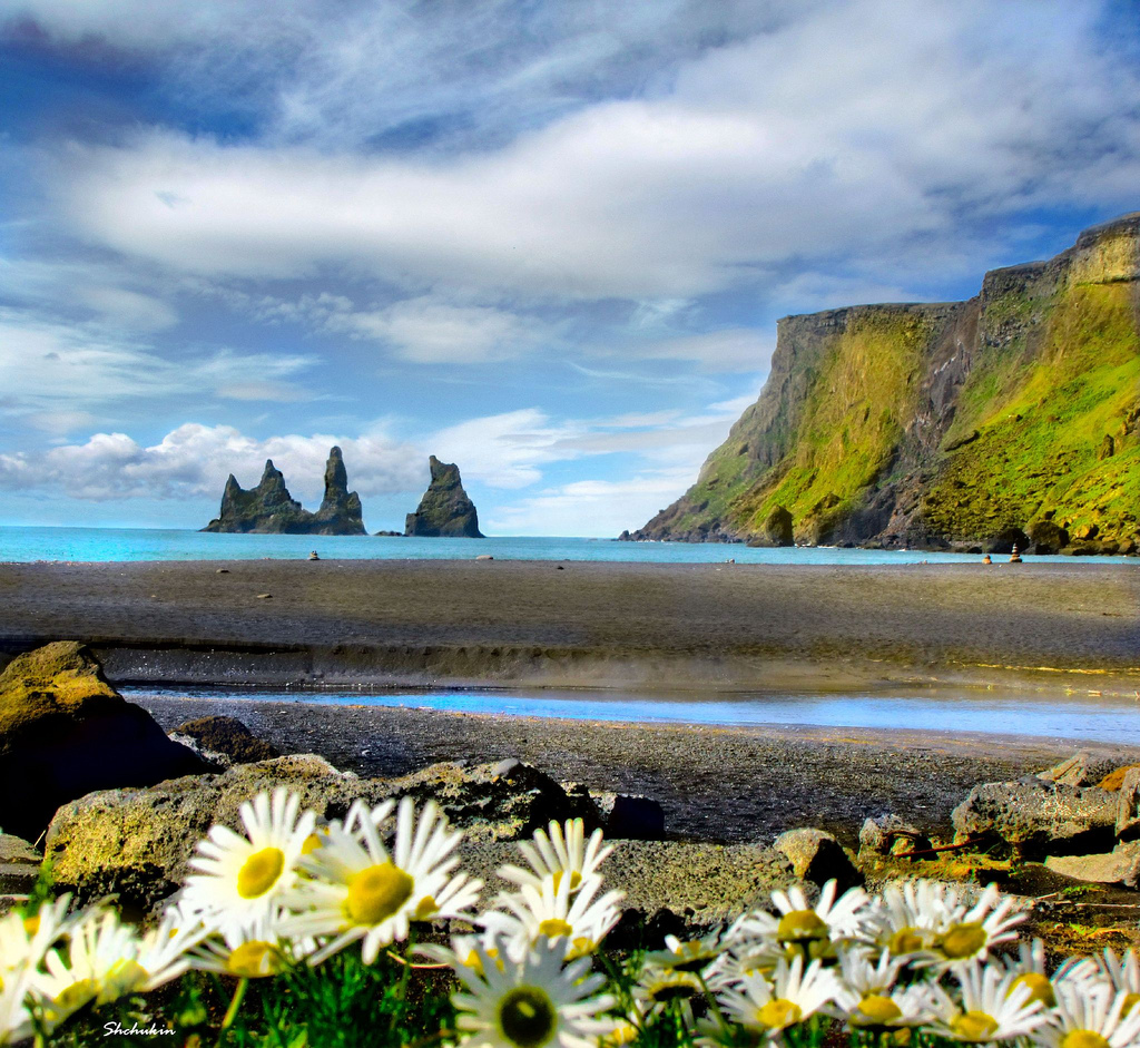 Discover Vik, The Most Visited Place in Iceland