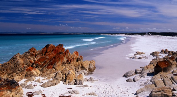 If You Want a Dream Holiday, go to Bay of Fires