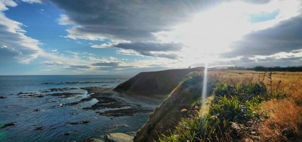Dive Into The Waters of the Ocean and Explore the Beauty of Kaikoura