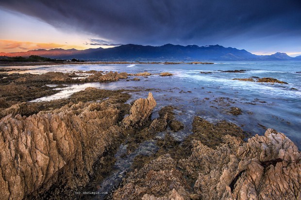 Dive Into The Waters of the Ocean and Explore the Beauty of Kaikoura