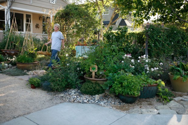 6 Fresh Ideas to Makeover a Small Urban Garden