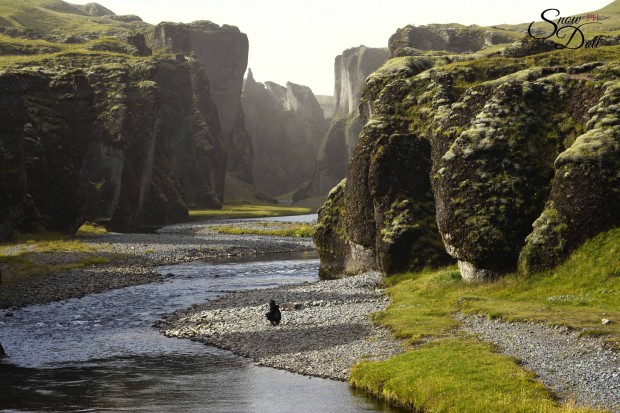 Everyone Can Agree that Fjaðrárgljúfur is the Most Beautiful Canyon in the World