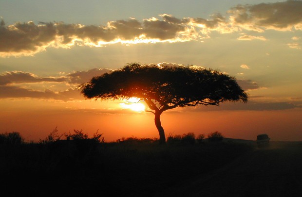 Kenya – The Most Photographed Country in the World