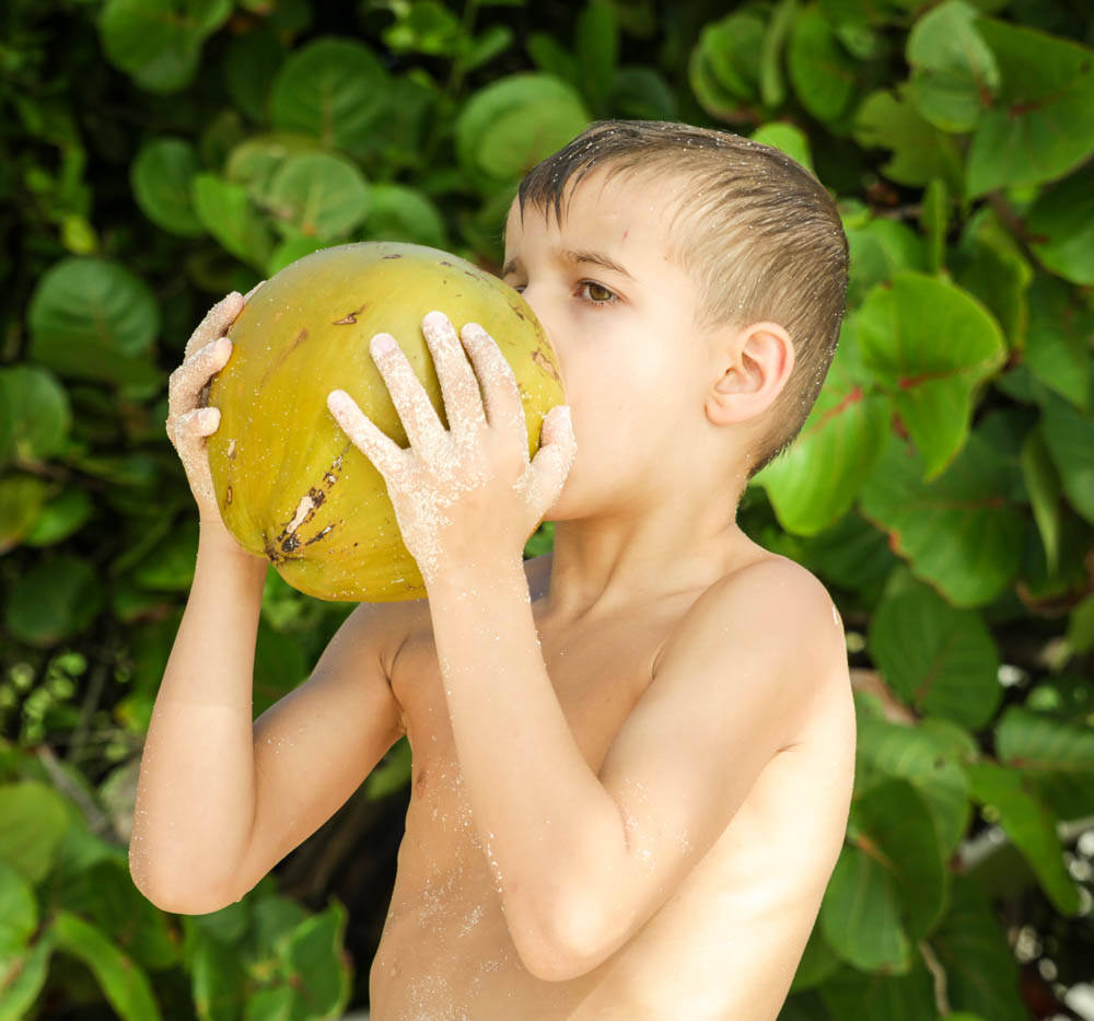 Surviving Tropical Climates